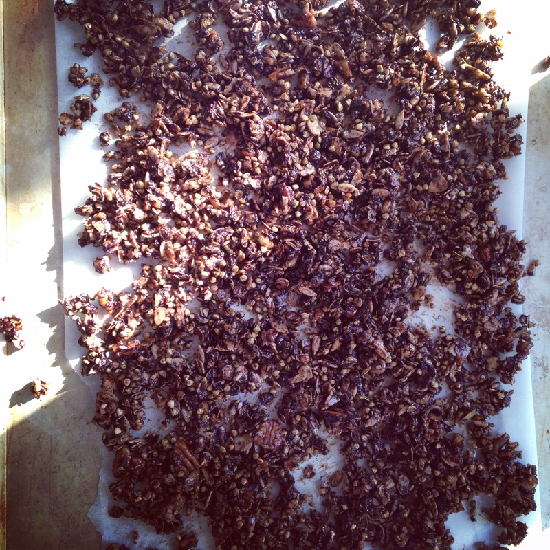 Chocolate Buckwheat Granola. Recipe on www.eatwelltravelfar.weebly.com
